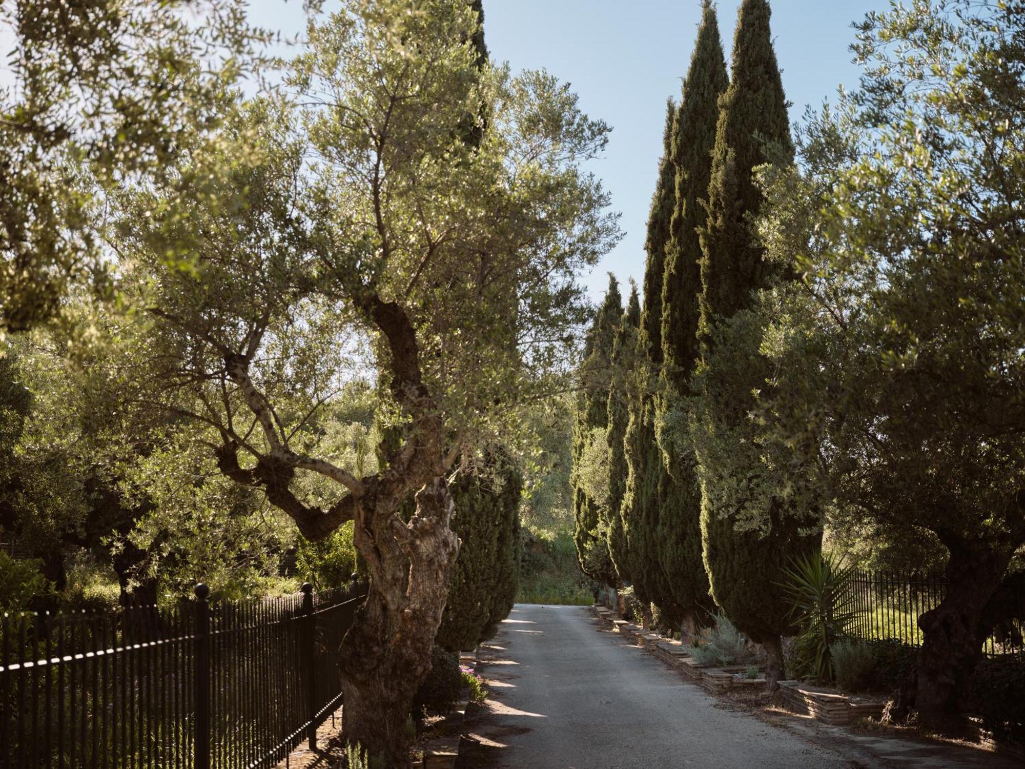 Villa Almeira 4acre Estate, For Unparalleled Seclusion, By Thinkvilla